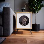mueble-mesa-auxiliar-pets-mascotas-3-2-maderkit